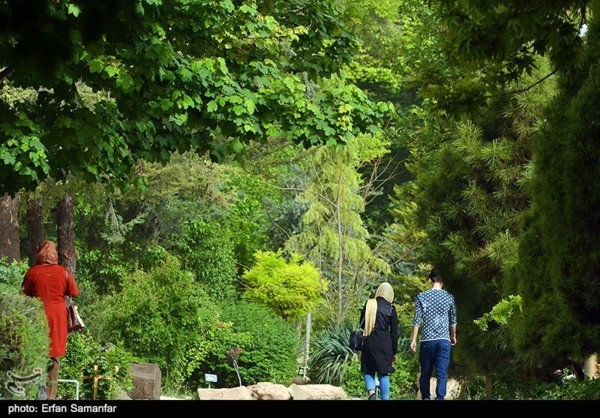 عکس/ طبیعت بهاری شیراز