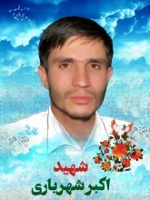 شهیدی که حاضر نشد به حرم حضرت عباس(ع) برود آخرین باری که به کربلا رفته بود مصادف با اربعین بود، هرچی اصرار کردیم بیا حرم حضرت ابوالفضل العباس(ع) نیامد. چون احساس خجالت میکرد که وقتی حرم بیبی در محاصره است به زیارت حضرت عباس علیه السلام بیاید ، ۱۰ روز بعد به سوریه رفت و به شهادت رسید