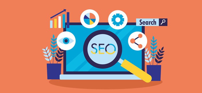 سئوسایت عامل موثر در جذب مخاطب بیشتر