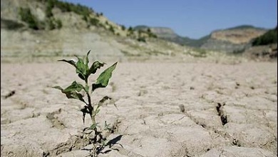 بحران کمبود آب و سیاست های افزایش جمعیت هیچ ربطی به هم ندارد/مسئولان از مردم عذرخواهی کنند/ واردات بی رویه میوه مصداقی برای اتلاف آب از طرفی مسئولان کشو تأکید می کنند که مشکل کم آبی و بحران قحطی آب و خشکسالی در راه است و یکی از راه حل های کنترل این بحران مهار جمعیت مصرف کننده آب است، از طرف دیگر کارشناسان گزارش می دهند نرخ رشد جمعیت کشور به مرحله هشدار رسیده است و برای جلوگیری از آسیب های احتمالی از چنین خطری همین امروز باید برنامه ریزی و سیاست گذاری شود که فردا خیلی دیر خواهد بود.