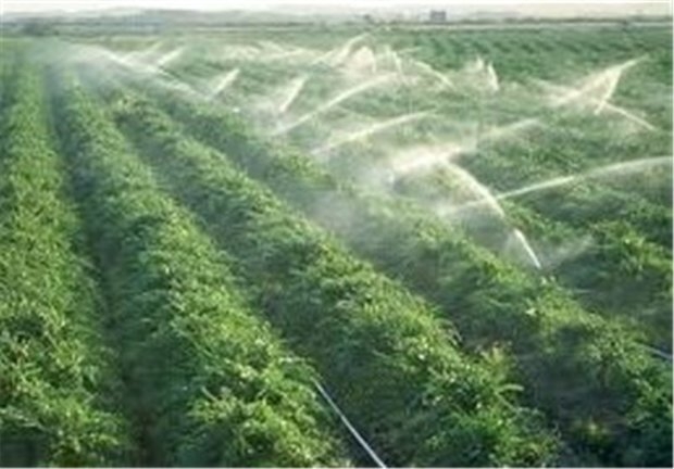 مدیرعامل آبفای روستایی کهگیلویه و بویراحمد گفت: ۹۴ درصد آب شرب صرف کشاورزی می شود.