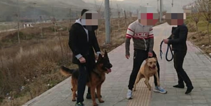 جای دندان مانور تجمل نوکیسگان تازه به دوران رسیده بر روی پیکر «بهار»/ داستان سگبازی کلهگندههایی که به قیمت امنیت مردم تمام میشود به هرحال سگبازی از تبعات سبک زندگی مدرن است! اتفاقی که باعث میشود بعد از مدتی صاحبان سرمایهدار و نوکیسهای که به سگبازی در خیابانها مشغول میشوند، حق مردم را ضایع کرده و در مواردی حتی به آنان آسیب جدی جسمی و روحی نیز بزنند! اتفاقی که این اواخر با حمله به یک دختر بچه رسانهای شد حتما ادامهدار خواهد بود. مگر اینکه