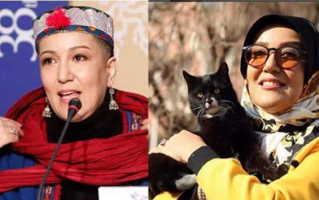 پانته آ بهرام؛ از گربه بازی تا کشف حجاب در جشنواره برداشتن روسری خود از سر و کشف حجاب او در بین اهالی رسانه در نشست خبری جشنواره فجر نشان می دهد که این خانم بازیگر یک هنجار شکن و قانون شکن واقعی است.
