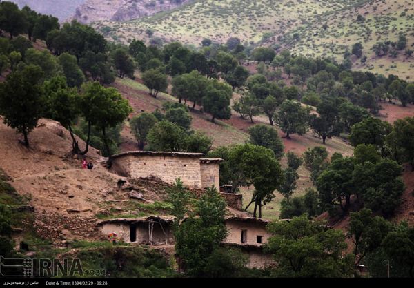 عکس: روستای شول آباد الیگودرز | پایگاه اطلاع رسانی رجا