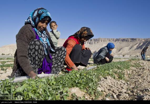 عکس: زندگی مردم روستای دهرم | پایگاه اطلاع رسانی رجا