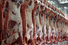 آمارها نشان می‌دهد مقدار عرضه گوشت قرمز در کشتارگاه‌های رسمی کشور در مهر امسال نسبت به ماه قبل (شهریور) حدود ٢ درصد کاهش داشته است.