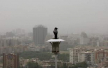  بر اساس اعلام شرکت کنترل کیفیت هوای تهران، شاخص کیفیت هوای پایتخت در حال حاضر بر روی عدد ۱۱۳ قرار دارد و هوا برای گروه‎های حساس جامعه آلوده است.