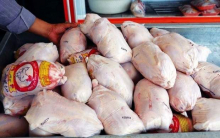 بررسی‌های میدانی نشان می‌دهد که به دلیل عرضه مطلوب گوشت مرغ، قیمت هر کیلوگرم از این محصول در بازار تهران به زیر نرخ مصوب (۷۳ هزار تومان) رسیده است.