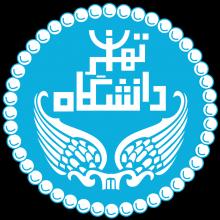 انتخابات مدیر گروه مطالعات منطقه ای دانشگاه تهران در حالی انجام شد که علی رغم رای گیری صورت گرفته، استادی که رای کمتری را کسب کرده بود به این سمت منصوب شد.