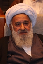 
آیت الله نصرالله شاه آبادی نماینده مردم تهران در مجلس خبرگان رهبری شب گذشته در بیمارستان بستری شد.