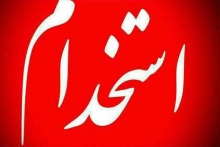 
رئیس سازمان امور اداری و استخدامی کشور از استخدام ۱۸ هزار نفر در دستگاه‌های دولتی خبر داد.