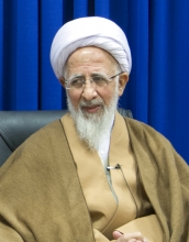 مرجع تقلید شیعیان فرمودند: آنها باید بفهمند که آنکه بشر را آفرید باید برای بشر صحبت کند، اوست که بهتر از هر کسی صلاح و فلاح کودک و مادر را می داند در حالی که آنها بر اساس نفس خود برای بشر برنامه ریزی می کنند، آنها انسان را نشناختند 