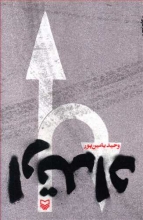 در مجموع می‌توان «ارتداد» را یک اثر جسور دانست که مانند یک بندباز در میانه‌ی «رمان عاشقانه-رمان سیاسی» قدم می‌زند و گاهی تعادلش را از دست می‌دهد؛ فصل اول، عاشقانه‌تر است و فصل دوم، سیاسی‌تر و فصل سوم، عاشقانه‌ی سیاسی.