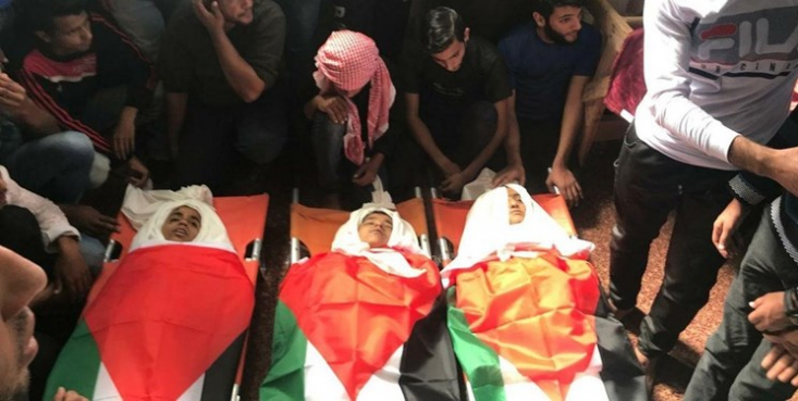 رژیم صهیونیستی  سال گذشته نیز ۷۸ کودک فلسطینی را در حملات  و جنایات نظامیان صهیونیست به شهادت رساند که ۶۰ نفر از آنان در حمله ماه می سال گذشته ارتش کودک کش صهیونیستی به غزه به شهادت رسیدند.