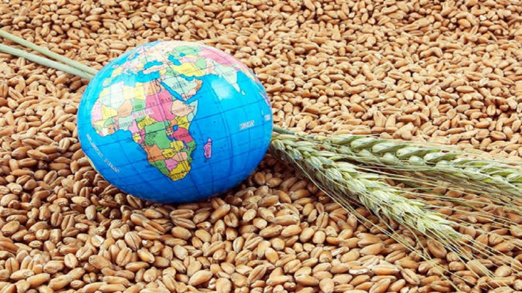 قیمت جهانی گندم و سایر محصولات اساسی در یک سال گذشته مرتب در حال افزایش بوده است و کارشناسان فائو هشدار داده‌اند که دوران غذای ارزان به سر آمده و کشورها باید خود را برای خرید غذای گران آماده کنند.