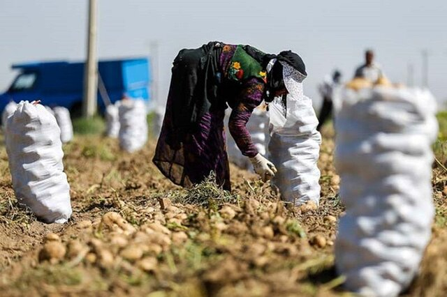 تخصیص ۴ هزار میلیارد تومان اعتباربرای اشتغال روستاییان دادههای مرکز آمار نشان میدهد، بیش از ۴ درصد از روستاییان دارای شغل در سه سال گذشته، شغل خود را از دست دادهاند.
