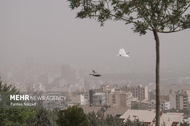 رئیس مرکز عملیات اضطراری سازمان مدیریت بحران شهر تهران با اشاره به وضعیت آلودگی هوا در پایتخت گفت: اگر در صورت تشدید آلودگی بنا باشد اقدام اضطراری صورت گیرد، مسئولیت با استانداری خواهد بود.