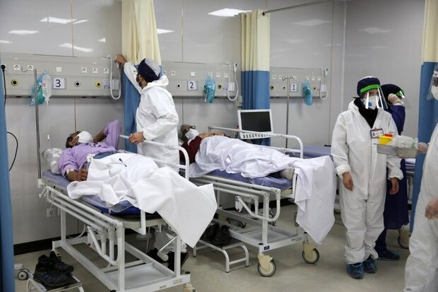بنابر اعلام وزارت بهداشت، در شبانه روز گذشته ۲۳ بیمار مبتلا به کووید ۱۹ در کشور شناسایی شد.
