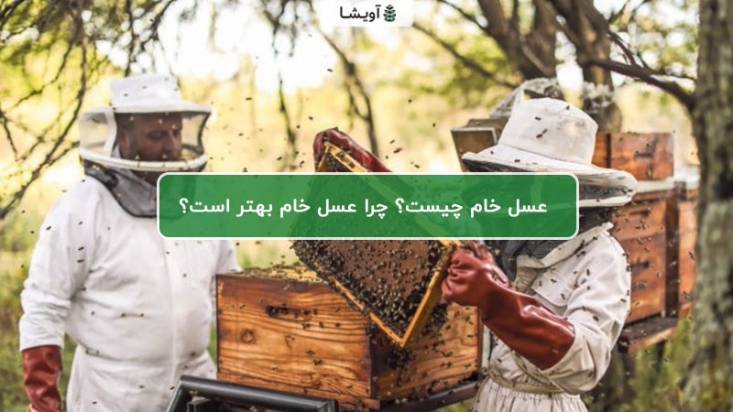 عسل خام چیست؟ از کجا عسل طبیعی و خام بخریم؟ عسل طبیعی که حاصل تغذیه زنبور از شهد گیاهان است،سرشار از خواص شگفت انگیز برای سلامتی است و به جرات میتوان گفت که بیشتر خواصی که تا امروز در مورد عسل شنیدهاید، همگی مرتبط با عسل طبیعی هستند.