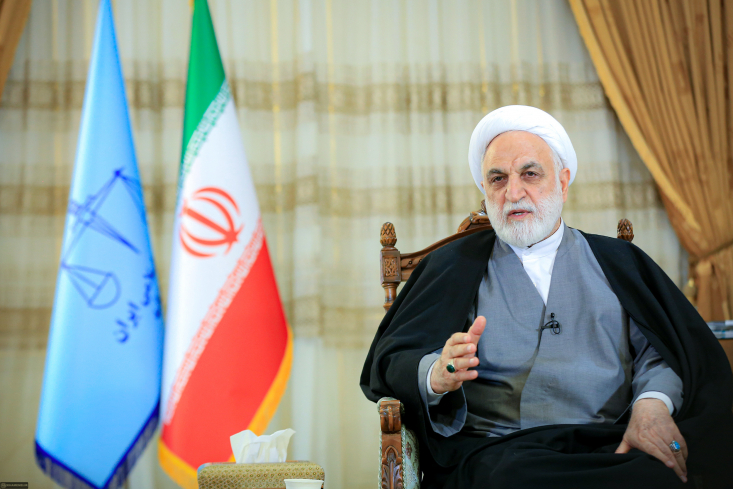 پایگاه اطلاع‌رسانی دفتر حفظ و نشر آثار حضرت آیت‌الله‌العظمی خامنه‌ای برای بررسی دقیق‌تر زمینه‌ها، پیامدها، جزئیات و فرآیندهای منجر به این عفو و بخشودگی به گفت‌وگو با حجت‌الاسلام‌ و المسلمین غلامحسین محسنی اژه‌ای،  رئیس قوه قضائیه پرداخته است.