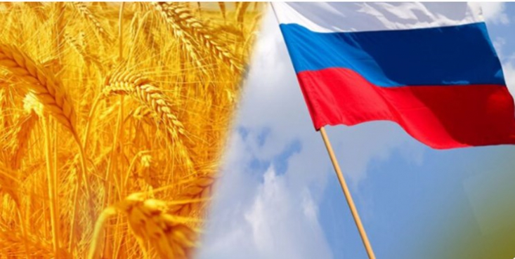 سفیر لبنان در روسیه از ارسال سوخت و گندم رایگان از این کشور به لبنان پس از حل مسائل لجستیکی خبر داد.