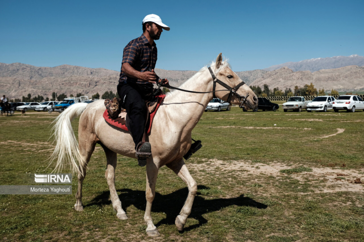 دومین دوره کلاس های هندلری (هدایت کننده اسب) و سومین دوره کلینیک ملی تخصصی اسب به میزبانی شهرستان سیرجان آغاز شد و ۲ روز ادامه خواهد داشت. 

