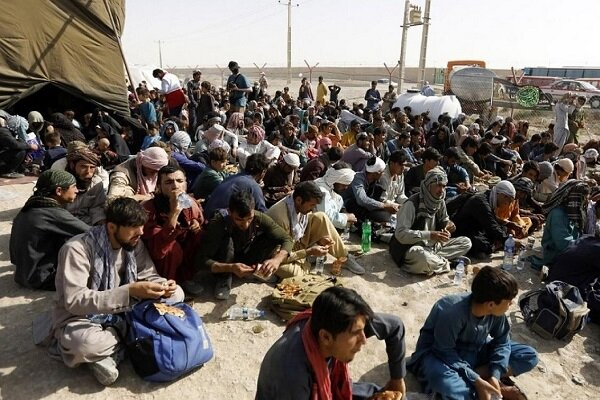 فرمانده انتظامی زابل از جمع آوری ۴۰۰ نفر از اتباع بیگانه غیر مجاز در نتیجه اجرای طرح ارتقای امنیت اجتماعی در این شهرستان خبر داد.