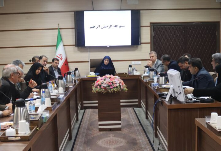 لزوم عملیاتیسازی پژوهشهای حوزه سالمندی اشراقی اسکوئی در ادامه با اشاره به اینکه لازم است نسبت به آینده نگاه علمی داشته باشیم، بیان کرد: کلی کار علمی و پژوهشی در حوزه سالمندی صورت گرفته و این پژوهشها زینتالاتاق و زینت کتابخانهها نیست و نباید باشد و ضرورت دارد که این پژوهشهای علمی، عملیاتی شوند.