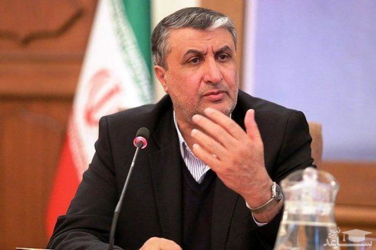معاون رئیسجمهور و رئیس سازمان انرژی اتمی: توافق قاهره طرف اروپایی را گستاختر کرد/ نمونه بارز این گستاخی در بیانیه اخیر تروئیکای اروپایی در اجلاس شورای حکام آشکار شد اسلامی: تجربه سالهای اخیر نشان میدهد اروپا نه توان ایفای نقش مستقل دارد و نه ارادهای جز دنبالهروی از آمریکا؛ تمدید امکان استفاده اروپا از مکانیسم ماشه و استمرار قطعنامه ۲۲۳۱ تنها بستر فشار و تهدید جدیدی علیه ایران را تقویت میکند