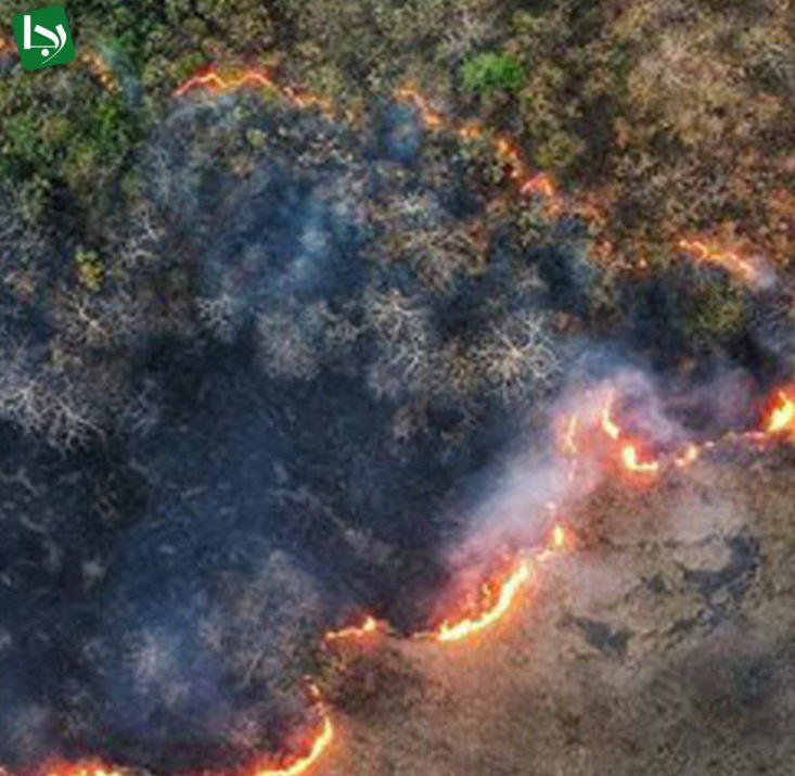  آتش سوزی در دو نقطه از شهرستان گرگان منطقه باغ شاه توسکستان گزارش شده است که در حال حاضر ۲۵ نفر نیروی یگان حفاظت منابع طبیعی در منطقه حریق حضور دارند.