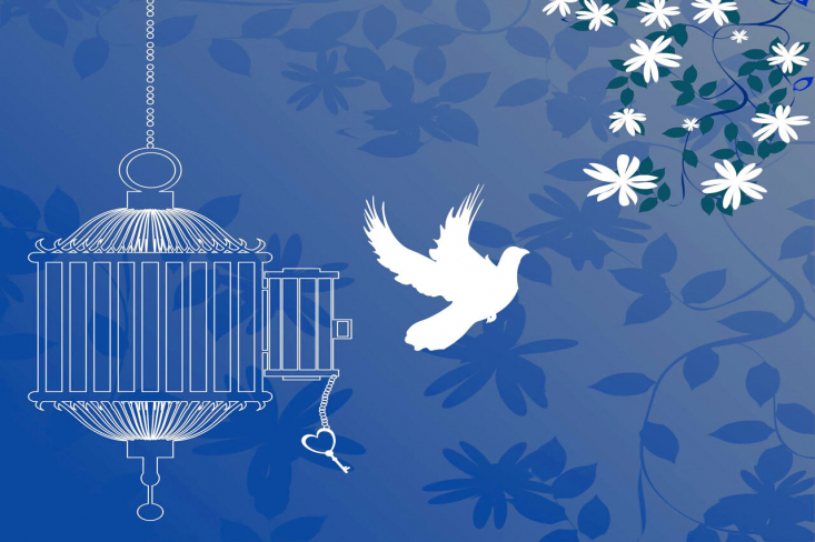 سرپرست بانک پارسیان گفت: با حمایت بانک پارسیان و مشارکت ستاد دیه، همزمان با میلاد حضرت زهرا(س) و روز مادر، تمامی مادران زندانی جرائم مالی غیرعمد تا سقف 250 میلیون تومان در سراسر کشور آزاد می‌شوند.