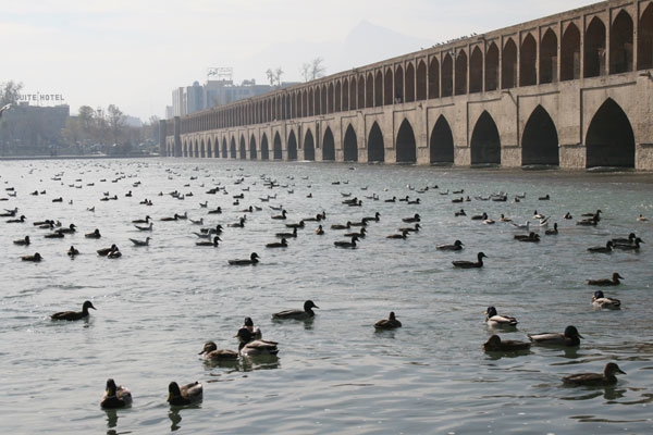 رئیس پژوهشکده آب و فاضلاب اصفهان گفت: بارگذاری بیش از توان رودخانه یکی از مهمترین عوامل بحران زاینده‌رود است.