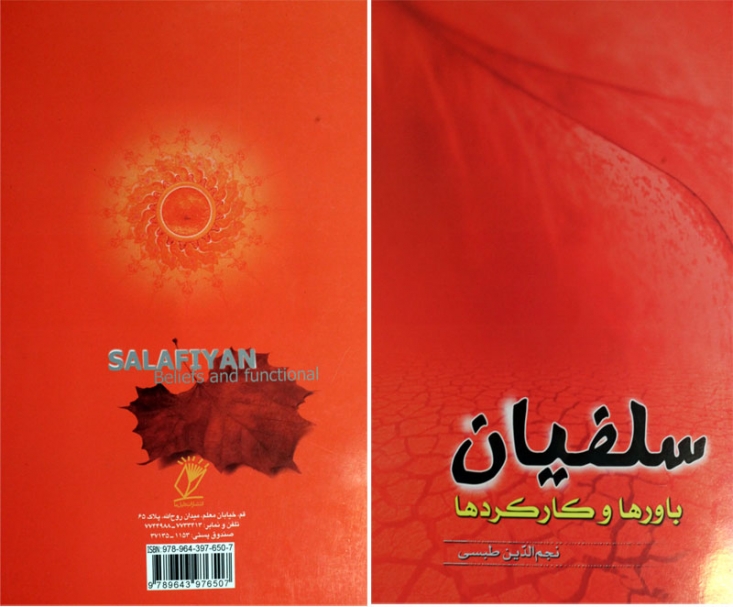 اگر جویای نظرات سلفیها و وهابیها هستید این کتاب را مطالعه کنید/ سلف چیست و سلفی کیست؟/ معرفی نظریه پرداز سلفیها و نقد تفکرات او در کتب اهل سنت در عقل ابن تیمیه نقصی بود... روز جمعهای در حالی که بر فراز منبر مسجد جامعه مردم را موعظه میکرد در محضرش نشستم که از جمله سخنانش این بود که خداوند متعال به آسمان دنیا فرود میآید، چنان که من فرود میآیم. در این هنگام از یک پله از پلههای منبر پایین آمد!