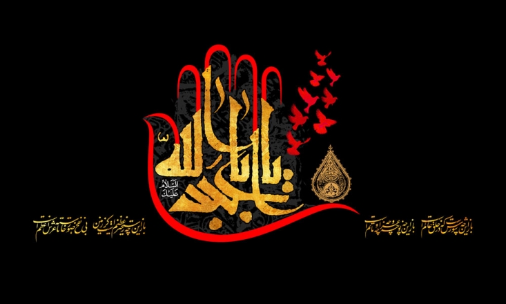اي اميرمؤمنان، وقتي كه (به اهل بصره) فرود آمديد چه مي‌كنيد؟ آن حضرت فرمود: آنها را به سوي خداوند و اطاعت او دعوت مي‌كنم. پس اگر سرپيچيدند با آنها مي‌جنگيم. ابوسلامه گفت: در اين هنگام است كه آنها به دعوت‌كننده به سوي خداوند غلبه نخواهند كرد»