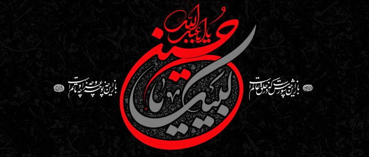 &laquo;سالم&raquo; غلام &laquo;بني&zwnj;مدينه&raquo; بود كه آنها تيره&zwnj;اي از &laquo;كلب&raquo; بودند. او از شيعيان كوفه بود. در ايامي كه هنوز جنگ آغاز نشده بود به امام و يارانش ملحق شد.