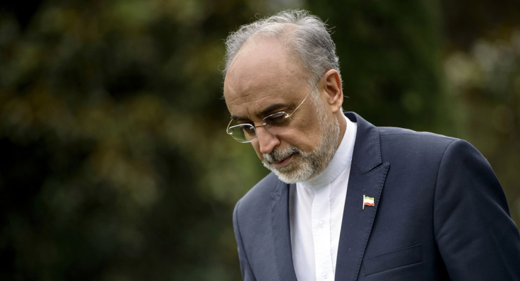 رئیس سازمان انرژی اتمی درباره انتقادات علی‌اکبر ولایتی از برجام گفت: برجام یک توافق نامه چند جانبه است که یک سوی آن ایران بوده است بنابراین لازم بود که نسخه صریح فارسی آن هم تدوین می‌شد تا دچار سوء برداشت و سوء تفسیر ها از نسخه انگلیسی آن نشویم.