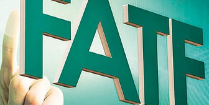 عدم امكان اعمال حق‌شرط‌ در لوايح مرتبط با FATF , و وجود اشكالات عد‌يده نسبت به مفاد كنوانسيون‌هاي پالرمو و CFT به نحوي كه اين لوايح تضمين‌كننده صريح منافع اقتصادي جمهوري اسلامي نيست از جمله ایراداتی است که در این لوایح وجود دارد.